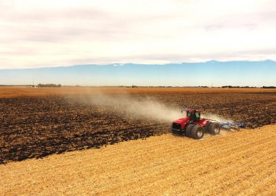 Adapted in-class activities