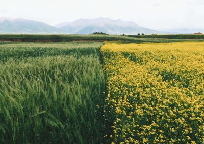 Safety Smarts Evaluation Reports