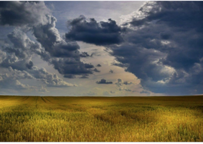 Mental Health in Agriculture: Essential Strategies for Building Resiliency